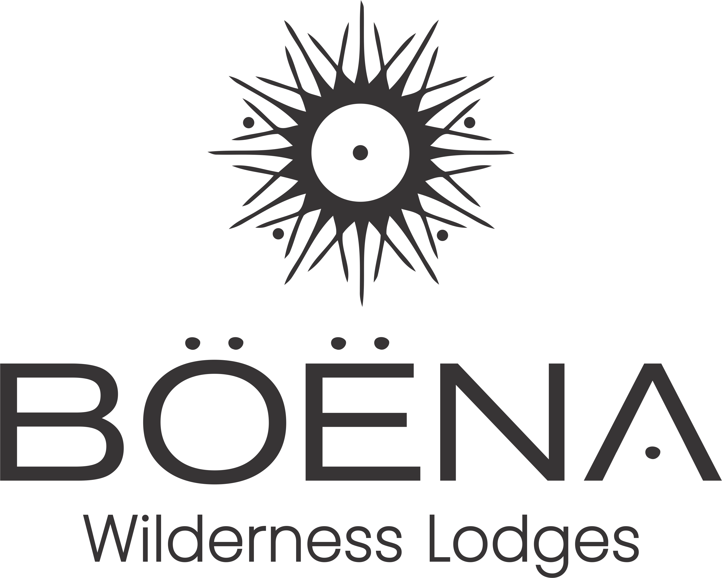 Logo Boena Wilderness