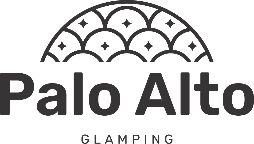 Logo Palo Alto-1