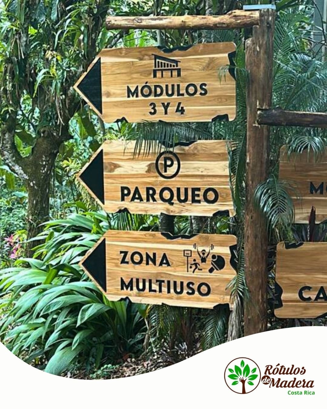 Grupo de señales en madera para senderismo — integración visual con el paisaje